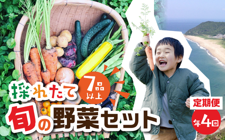 【定期便 】旬彩野菜セット定期便 年4回 旬の野菜 7品目以上
