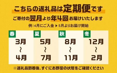 【定期便 】旬彩野菜セット定期便 年4回 旬の野菜 7品目以上