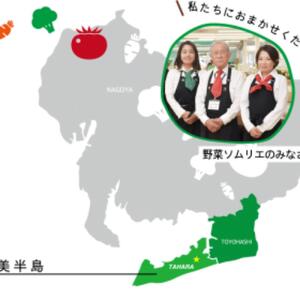 《先行予約》アールスメロン 2L× 2玉 メロン めっくんはうす