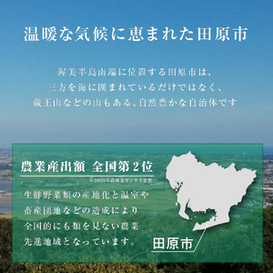 《先行予約》アールスメロン 2L× 2玉 メロン めっくんはうす