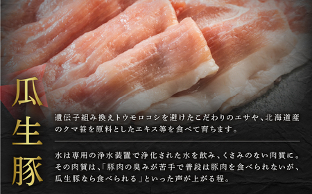 訳あり 国産豚肉  ヒレ ブロック 2本  豚肉 瓜生