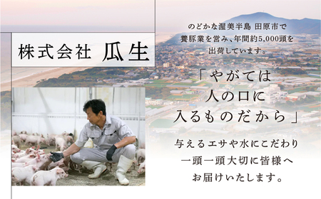 訳あり 国産豚肉  ヒレ ブロック 2本  豚肉 瓜生