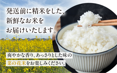 菜の花米 あきたこまち 5kg お米 白米 玄米対応可 愛知県 田原市 アキタコマチ