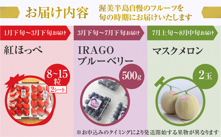 【定期便】フルーツ定期便 3回 ( いちご / ブルーベリー / メロン ) 