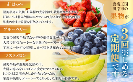 【定期便】フルーツ定期便 3回 ( いちご / ブルーベリー / メロン ) 