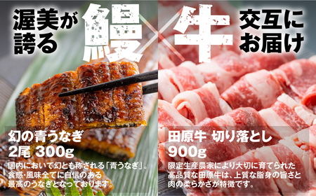 【定期便】幻の青うなぎ&田原牛 堪能定期便 3回