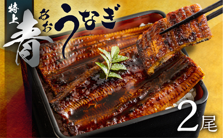 【定期便】幻の青うなぎ&田原牛 堪能定期便 3回