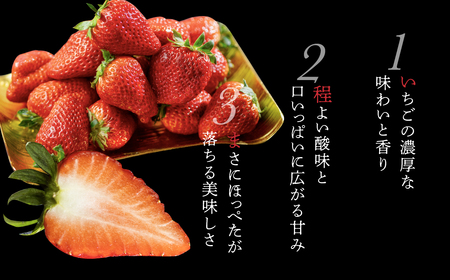 【定期便】《先行予約》プレミアムいちご 紅ほっぺ 2回定期便