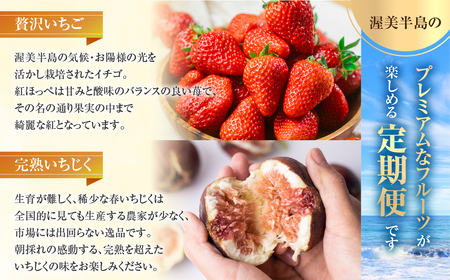 【定期便】フルーツプレミアム定期便