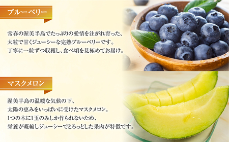 【定期便】フルーツプレミアム定期便