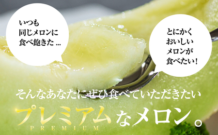 2026年先行予約極上メロン 渥美の陽光-HIKARI- 1玉 メロン