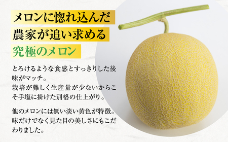 2026年先行予約極上メロン 渥美の陽光-HIKARI-　2玉 メロン