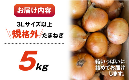 がんこ玉ねぎ　5kg