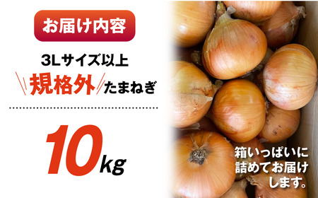 【先行予約】 がんこ玉ねぎ 10kg  玉ねぎ 玉葱 野菜 旬 サイズお任せ 産地直送 訳あり 規格外 愛知県 田原市 訳あり 玉ねぎ 訳あり