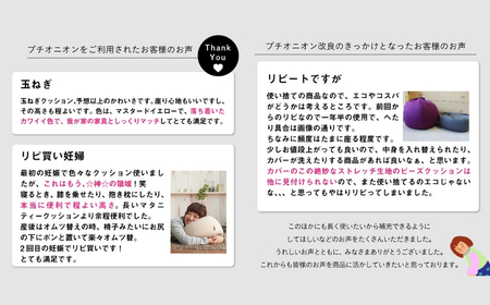 【チャコールグレー】ハナロロ ビーズクッション プチ オニオン