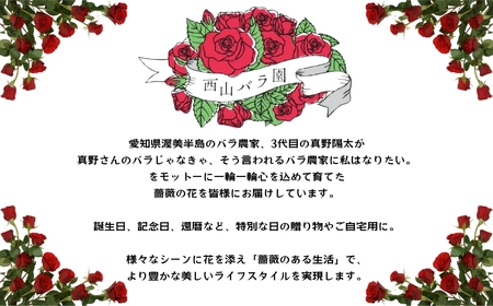 バラ 花束 20本  おまかせ 花 薔薇  生花 愛知県 田原市