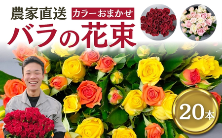 バラ 花束 20本  おまかせ ラッピング有 花 薔薇  生花 愛知県 田原市