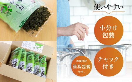 あおさ 80g (20g×4 小分け チャック袋) 愛知県 三河湾産 「はじめまして あおさのり です。」あおさ海苔 海苔 味噌汁 海藻類 アオサ