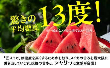 匠スイカ 2玉 2026年先行予約