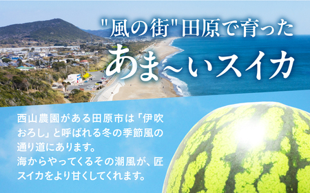 匠スイカ 2玉 2026年先行予約