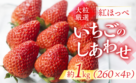 ≪先行予約≫【愛知県・田原産】ブランドいちご「いちごのしあわせ」4パック（約260g×4P） ／ 苺 イチゴ フルーツ 果物 農薬節減 愛知県 特産品 産地直送 田原市 渥美半島