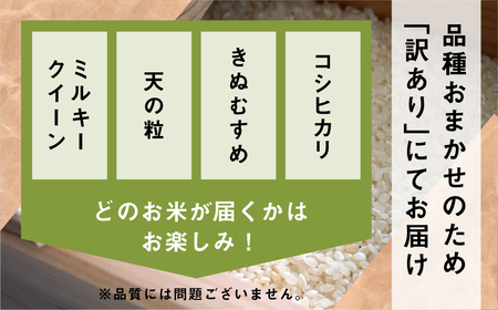 備蓄米 7.5kg 10年保存パック 【白米】 低農薬 品種 おまかせ 訳あり 備蓄 長期保存パック 常温 長期保存 米  保存 常備