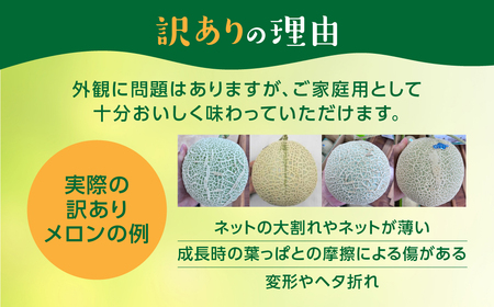 訳あり 先行予約 渥美半島産 マルカ農園のマスクメロン 2玉 (1玉1.3kg以上) ご自宅用 めろん 箱詰め フルーツ 果物 メロン 訳ありフルーツ メロン 