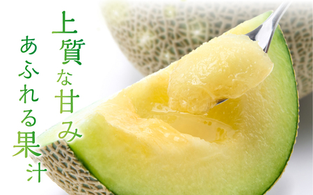 《先行予約》アールスメロン 大玉2kg 2玉 特別限定栽培 八右衛門