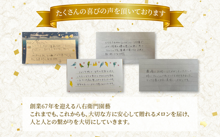 《先行予約》アールスメロン 大玉2kg 2玉 特別限定栽培 八右衛門