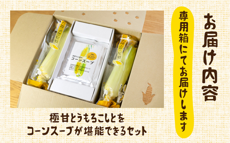＜先行予約＞レビュー 高評価 ☆5 濃厚 極甘とうもろこし ＆ コーンスープ セット 無添加 おうちで極上 スープ とうもろこし コーンスープの素 人気 産地直送 甘い 送料無料 数量限定 簡単 常温 田原市 トウモロコシ コーン