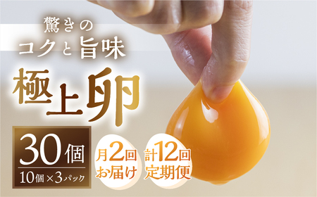 【定期便】コク旨 極上卵 30個 月2回 隔週お届け定期便 計12回 割れ保証付き