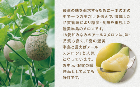 【先行予約】アールスメロン 2玉 メロン JA愛知みなみ