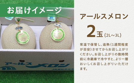 【先行予約】アールスメロン 2玉 メロン JA愛知みなみ