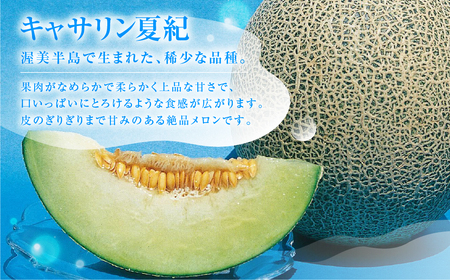 【先行予約】青木さんちのメロン キャサリン夏紀 メロン