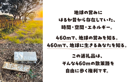 渥美半島「地球46億年の歴史ロード」共有権（券）