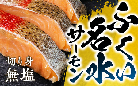 ふくい名水サーモン 切身 無塩 サーモン 鮭 