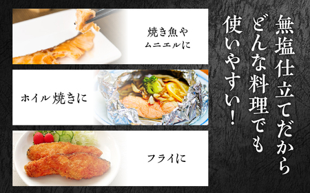 ふくい名水サーモン 切身 無塩 サーモン 鮭 