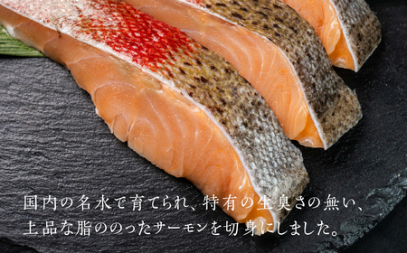ふくい名水サーモン 切身 甘塩仕立て サーモン 鮭