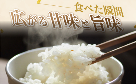 【定期便】《令和8年産 新米》こしひかり 10kg × 12回 定期便 