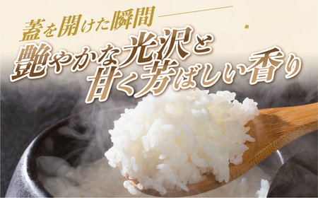 【定期便】《令和8年産 新米》こしひかり 10kg × 6回 定期便