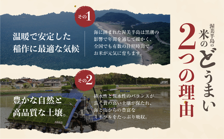 【定期便】《令和8年産 新米》こしひかり 10kg × 6回 定期便