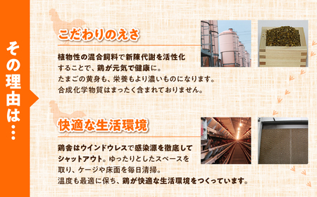 【6回定期便】農場たまご めぐみ 30個 割れ保証付き たまご