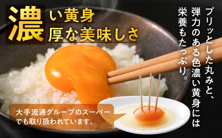 【12回定期便】農場たまご めぐみ 30個 割れ保証付き たまご