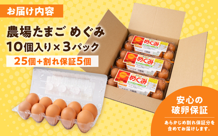 【12回定期便】農場たまご めぐみ 30個 割れ保証付き たまご