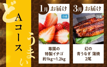 【定期便】どうまい定期便 全5回 Aコース