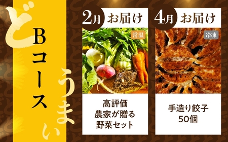 【定期便】どうまい定期便 全5回 Bコース