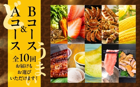 【定期便】どうまい定期便 全5回 Bコース