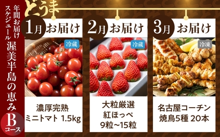 【定期便】どうまい定期便 12回 肉コース