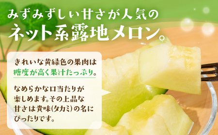 【先行予約】タカミメロン 5～6玉 メロン ニュー渥美観光