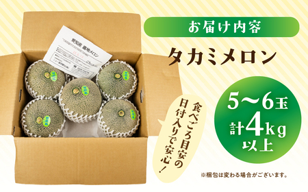 【先行予約】タカミメロン 5～6玉 メロン ニュー渥美観光